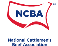 Logo NCBA